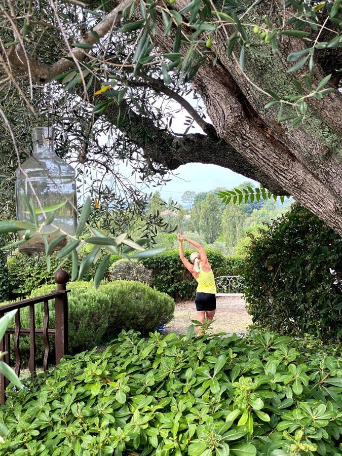 Le Manoir De L'Etang Ξενοδοχείο Μουζέν Εξωτερικό φωτογραφία